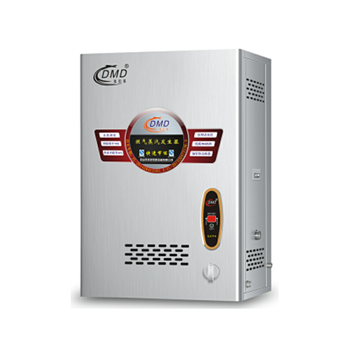 壁挂式燃气蒸汽发生器